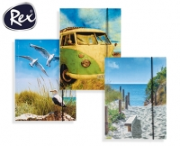 Rex®Sammelmappe, 3er- oder 2er-Set