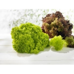 Bunte Salate 0.69 €