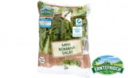 Salatherzen 0.69&nbsp;&euro;
