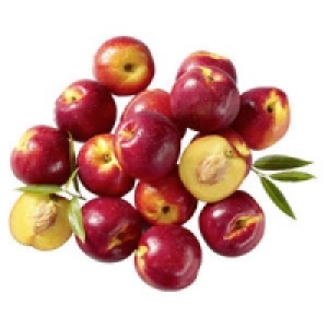 Spanien Nektarinen 1.99 €