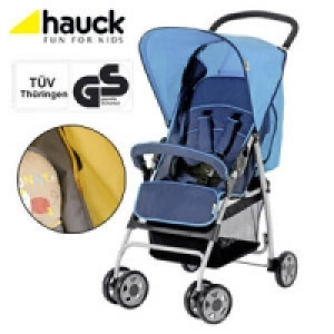 Liegebuggy Sport