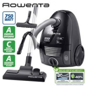 Bodenstaubsauger Power Space RO 2335EA