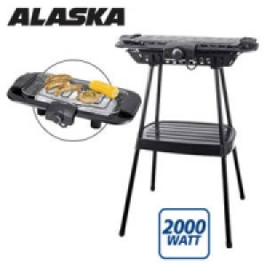 Standgrill STG 2100