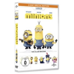 DVD Minions