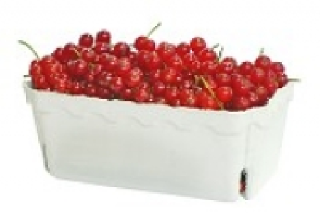 Rote Johannisbeeren 2.99 €