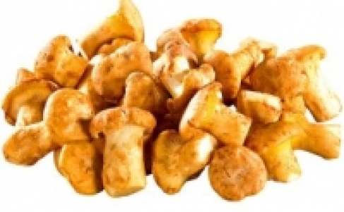 Pfifferlinge 3.99&nbsp;&euro;