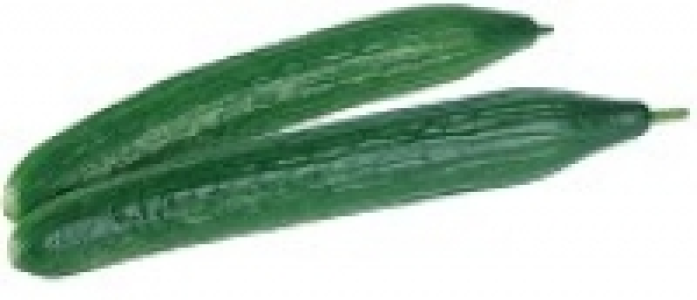 Schlangengurke 1.19 €