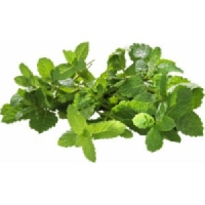 Frische Kräuter 2.29 €