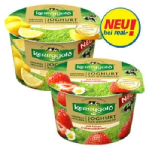Kerrygold Fruchtjoghurt aus Weidemilch 0.69 €