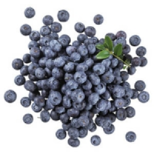 Deutschland Kultur-Heidelbeeren 2.49&nbsp;&euro;