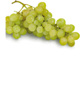 Ebl Naturkost Italienische Weiße Trauben Viktoria