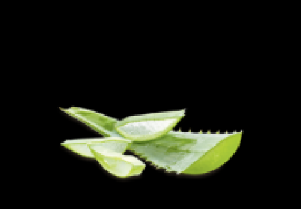 Aloe Vera 4.99 €