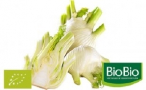 Fenchel 1.69 €