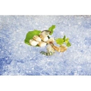 S&uuml;sswasser-Garnelen mit Glasur 19.99&nbsp;&euro;