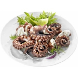 Krake/Pulpo 11.99 €