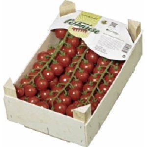 Rispencocktailtomaten L&acute; Amuse