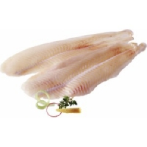 MSC Schollenfilet 9.99 €