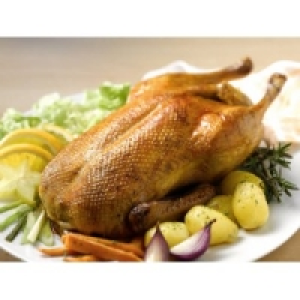 Grill-Enten 2.49 €