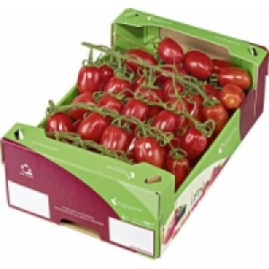 Rispentomaten San Marzano