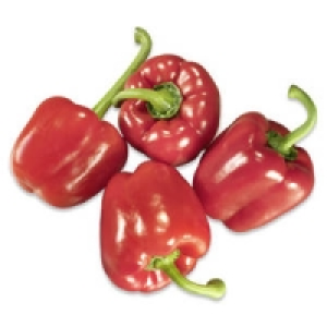Spanien Paprika, rot 1.49&nbsp;&euro;
