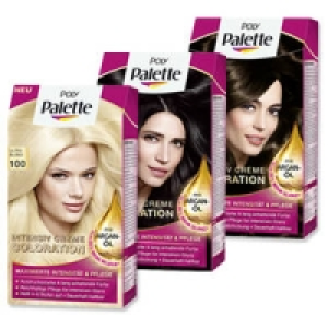 Poly Palette-Coloration 4.98&nbsp;&euro;