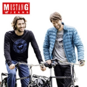 Herren-Sweatshirt 19.99&nbsp;&euro;