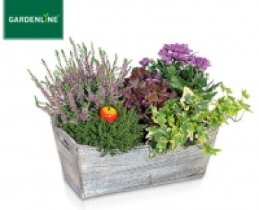 GARDENLINE® Bepflanztes Holzgefäß oder bepflanzter Weidenkorb