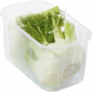 Fenchel 1.29 €