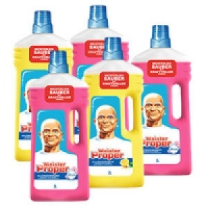 Meister Proper Haushalts-Reiniger 1.49&nbsp;&euro;