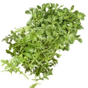 Frankreich Feldsalat oder Deutschland/Italien Rucola Salat 0.88&nbsp;&euro;