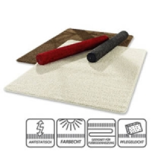 Hochflor-Teppich 29.95&nbsp;&euro;