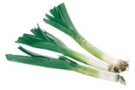 Lauch 3.49 €