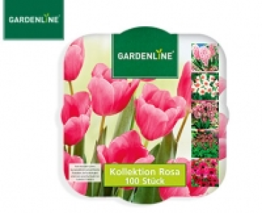 GARDENLINE®Blumenzwiebel-Mischung 3.99 €