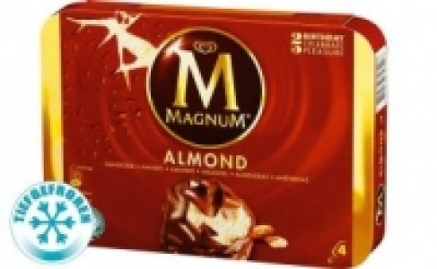 Langnese Magnum Eis 1.99&nbsp;&euro;