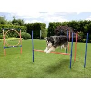 Hunde-Trainings-Set 34.95 €
