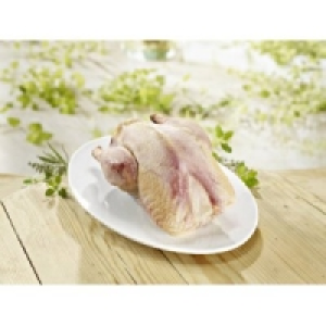 Fasane 4.79 €
