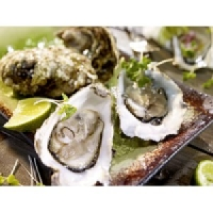 Felsenauster Fine de Claire Nr.2 0.79&nbsp;&euro;