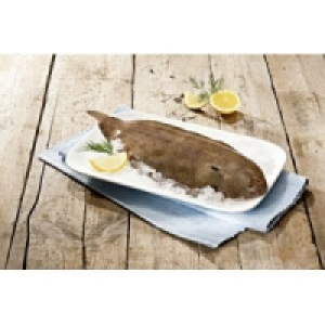 Seezunge 25.99 €