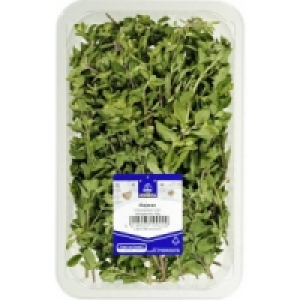 Frischer Majoran/Thymian