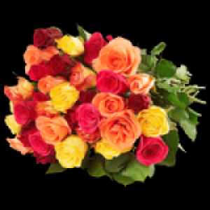 Fairtrade Rosen 2.99 €