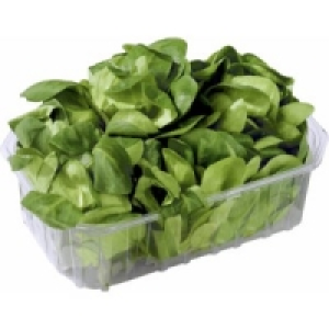 Feldsalat