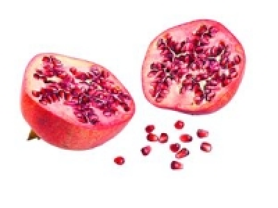 Granatapfel 1.49 €