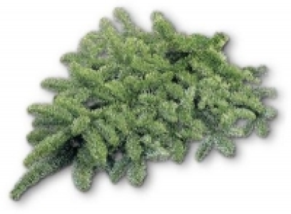 Handbund, Nordmanntanne, 500 g