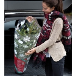 Weihnachtsbaum 7.99 €