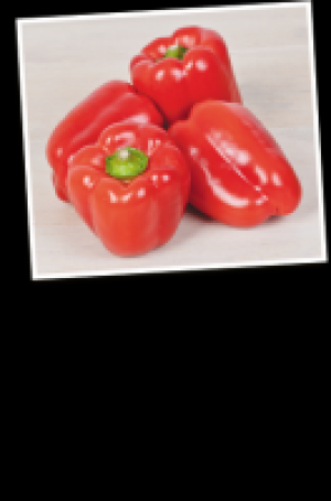 Rote Paprika 3.97 €