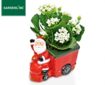 GARDENLINE®Bepflanzte Weihnachtskeramik