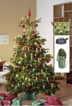 Nordmanntanne, H&ouml;he ca. 130 - 150 cm 17.99&nbsp;&euro;