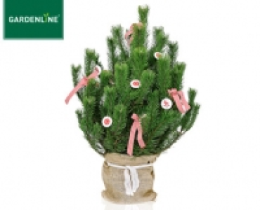 GARDENLINE®Weihnachtsbaum