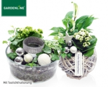 Aldi Süd  GARDENLINE®Pflanzenschale Winter