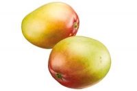 Denns  Mango